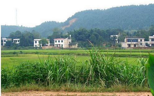 宅最新种子，背景、发展与时代地位深度解析